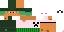 Texture for 索隆