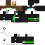 Texture for SiNeTz