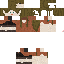 Texture for Lisa2