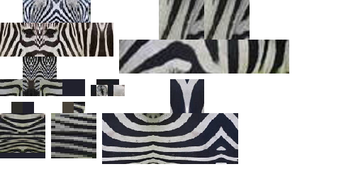 Texture for zebra