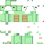 Texture for turtle