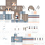 Texture for Ada