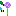 Texture for ALLIUM