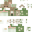 Texture for moonn
