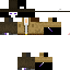 Texture for hse