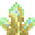 Texture for horn_coral