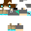 Texture for Steve