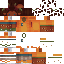 Texture for Tylekk sculk 2.0