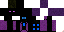 Texture for Ender