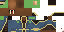 Texture for evan wizaro walrus