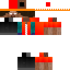 Texture for TS1010