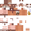 Texture for Orange furry