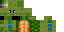 Texture for Turtle