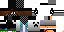 Texture for steve
