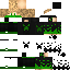 Texture for steve
