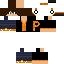 Texture for Pheonix_YT