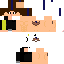 Texture for Hawk
