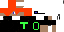 Texture for totoder