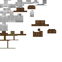 Texture for mutant_wither_skeleton
