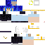 Texture for minecraft_skin