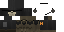 Texture for ghosthwk-
