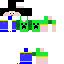 Texture for DASH2