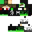 Texture for sa_maico