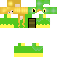 Texture for turtwig