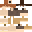 Texture for 忠善