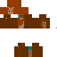 Texture for wicket