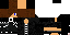 Texture for minefox9