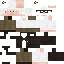 Texture for carl fredricksen
