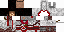 Texture for assassin apprentice