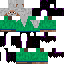 Texture for merlin