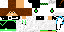 Texture for hg