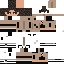 Texture for Remagined TS