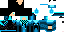 Texture for ninja