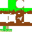 Texture for Grass Shulker