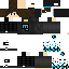 Texture for steve