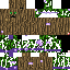 Texture for AMYOak