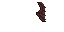 Texture for Bat Wings