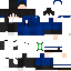 Texture for steve