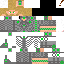 Texture for HammerSkin No Helm