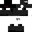 Texture for fs