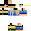 Texture for Zenix