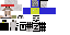 Texture for Check It Wolf