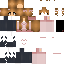 Texture for H
