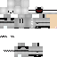 Texture for baer
