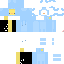 Texture for duck4