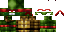 Texture for turtle